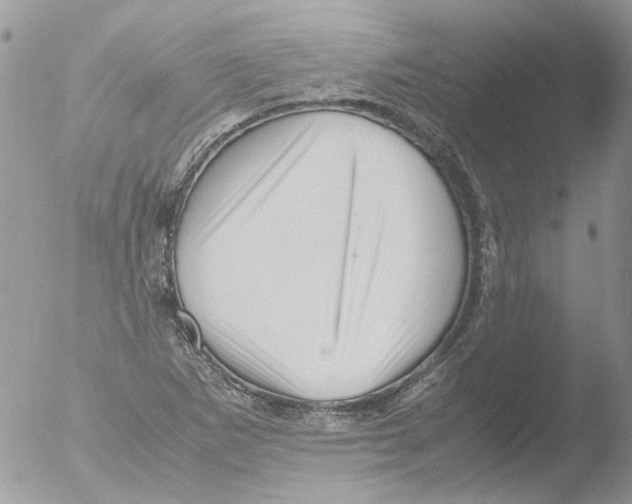 X0000051251265200507152140