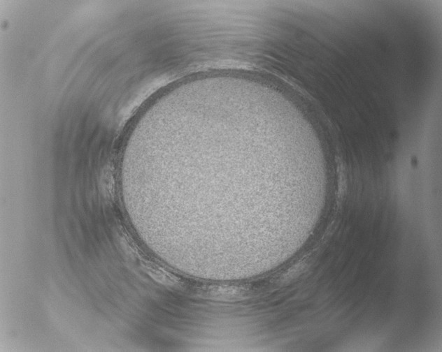 X0000051251266200507152140