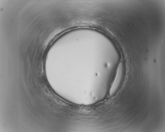 X0000051251267200507152140