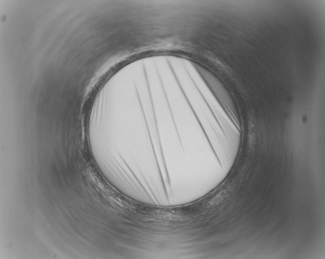 X0000051251270200507152140