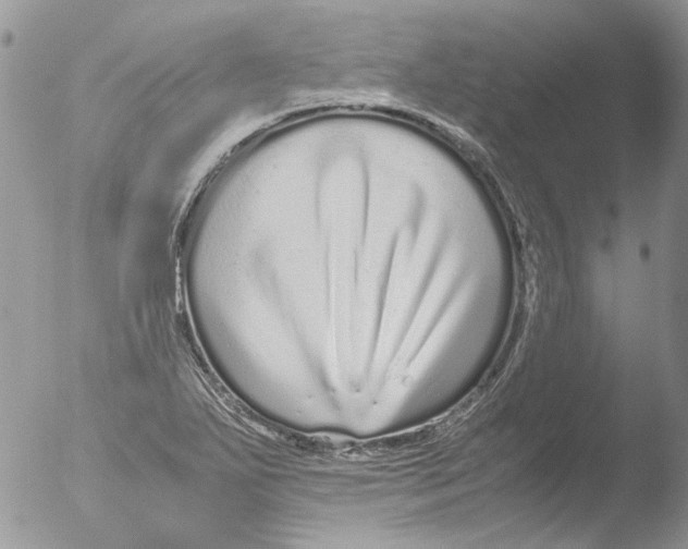 X0000051251271200507152140