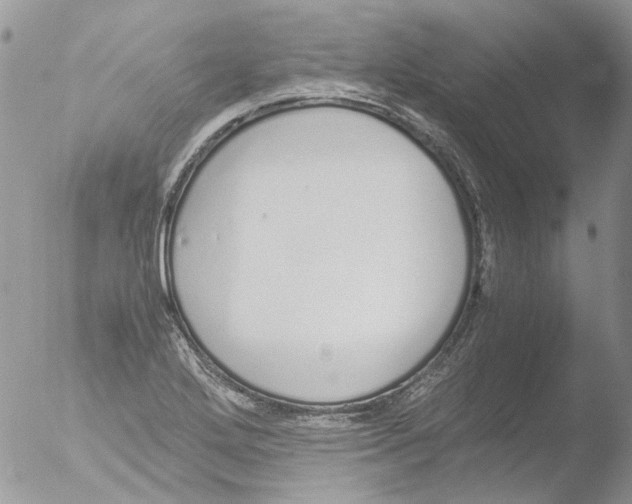 X0000051251272200507152140