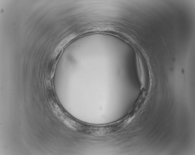 X0000051251273200507152140