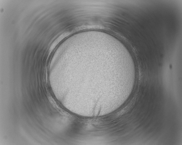 X0000051251274200507152140