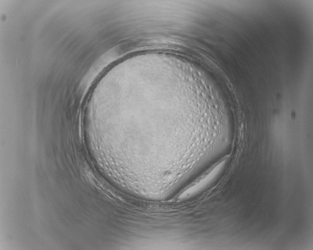 X0000051251275200507152140