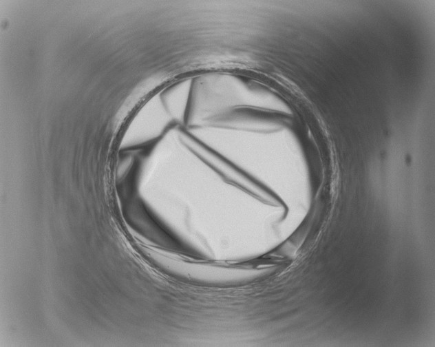 X0000051251277200507152140