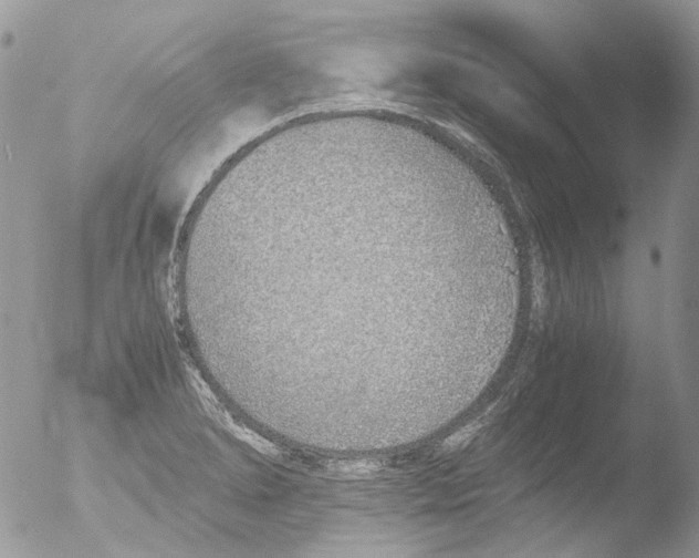 X0000051251278200507152140