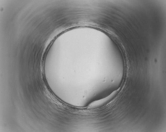 X0000051251280200507152140