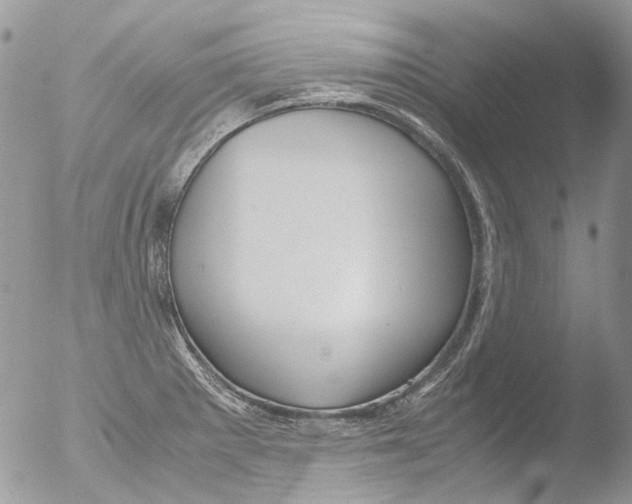 X0000051251281200507152140