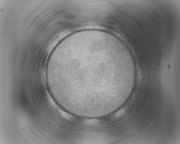 X0000051251282200507152140