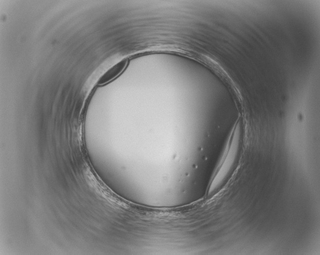 X0000051251284200507152140