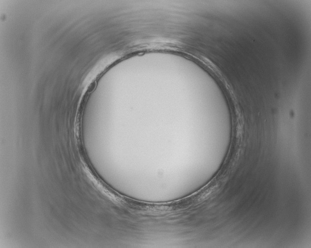 X0000051251285200507152140