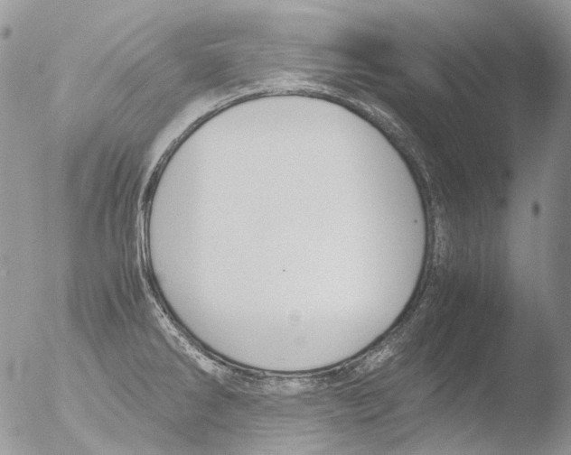 X0000051251286200507152140