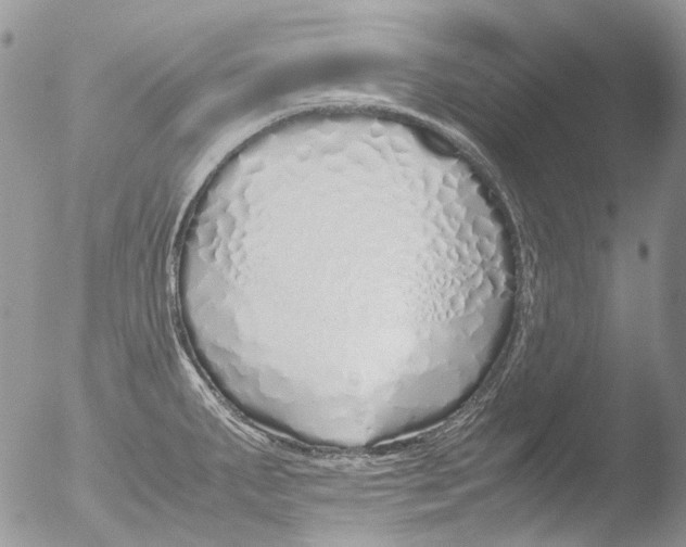 X0000051251287200507152140