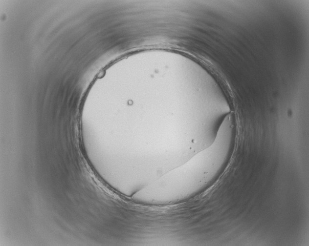 X0000051251288200507152140