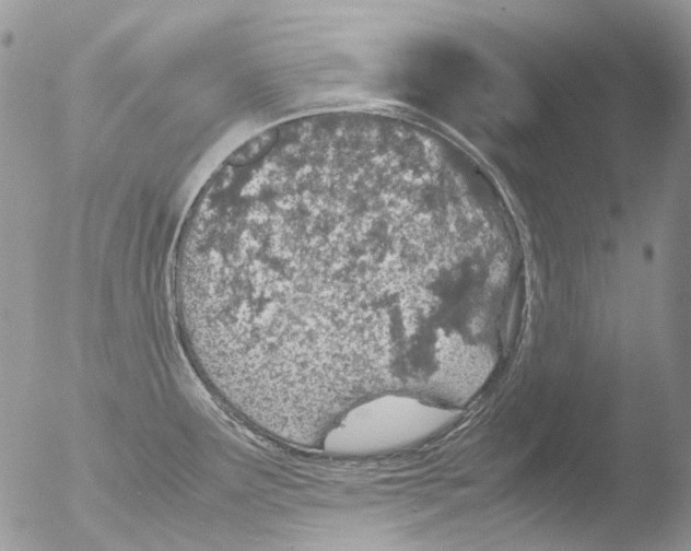 X0000051251291200507152140