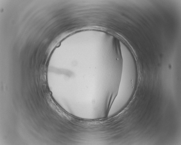 X0000051251292200507152140