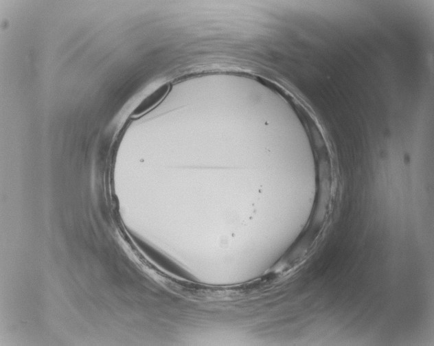 X0000051251293200507152140