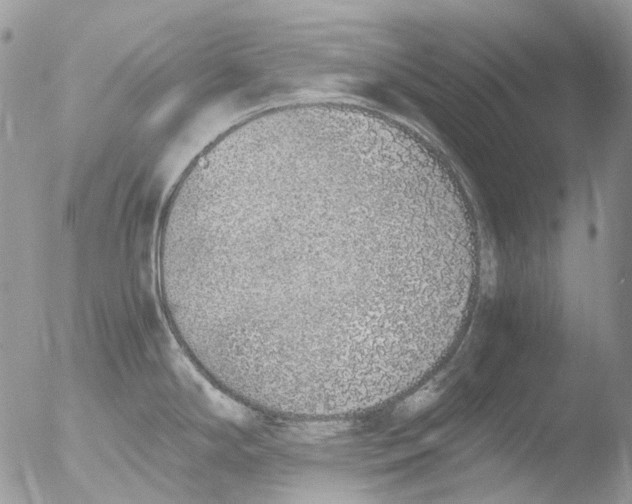 X0000051251294200507152140