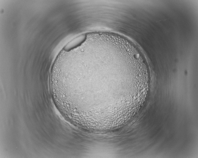 X0000051251295200507152140