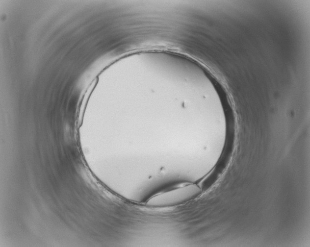 X0000051251296200507152140