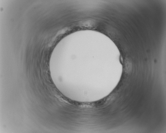 X0000051251297200507152139