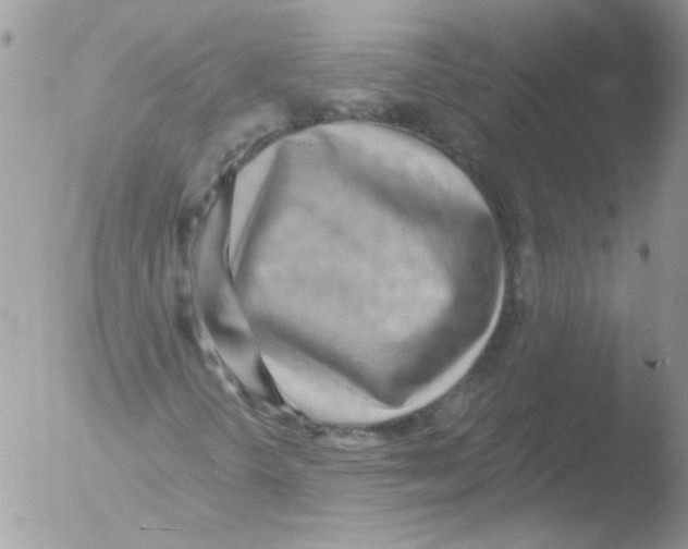 X0000051251298200507152139