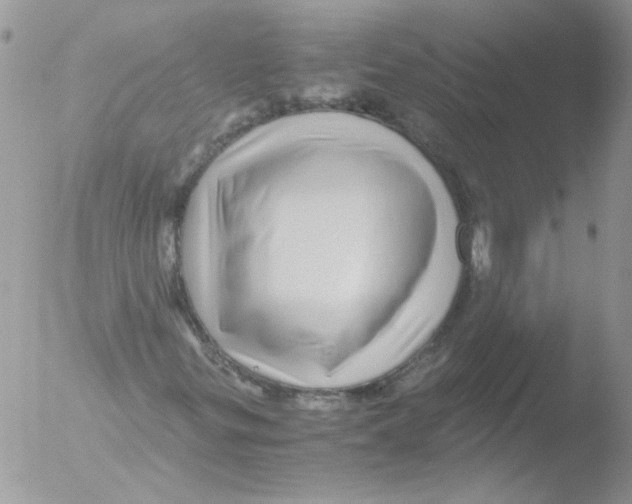 X0000051251299200507152139