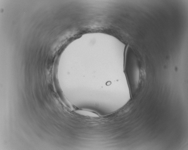 X0000051251300200507152139