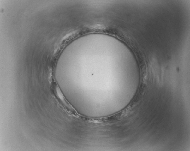 X0000051251301200507152139