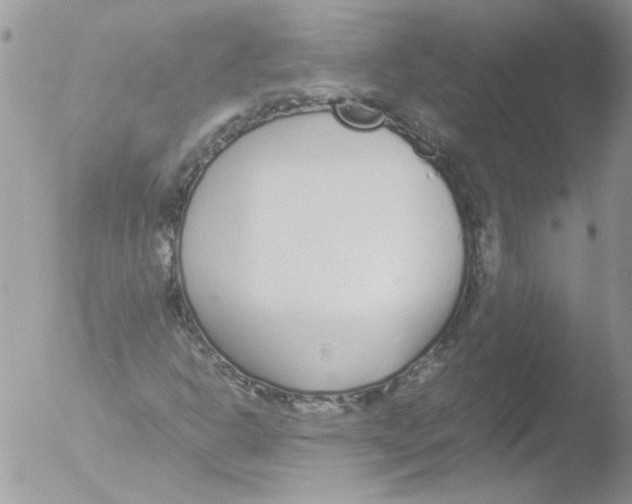 X0000051251302200507152139