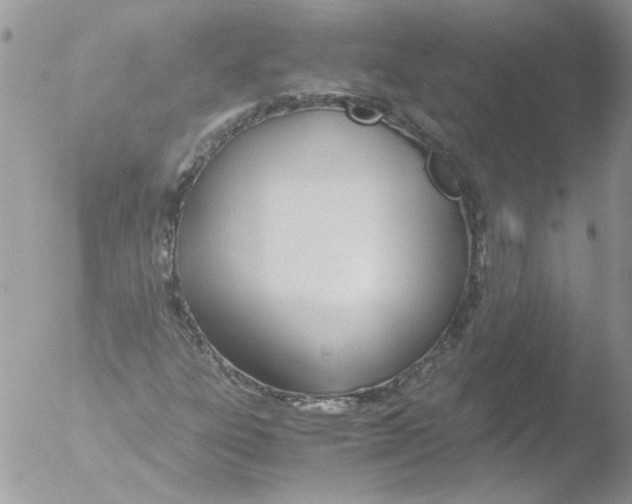 X0000051251303200507152139