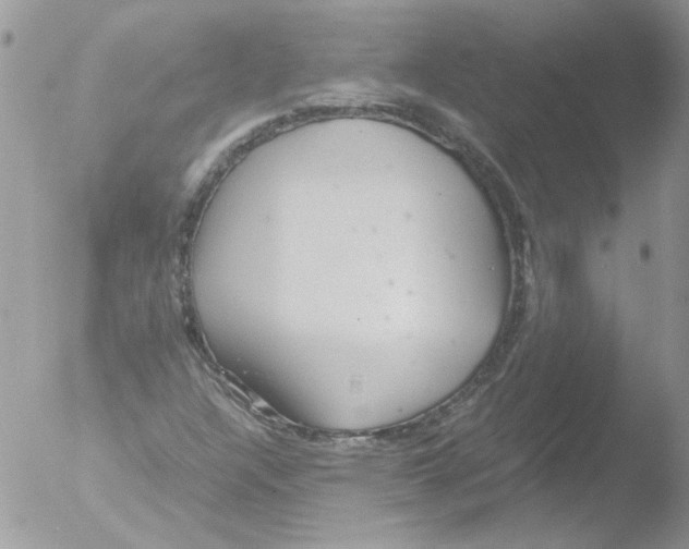 X0000051251304200507152139