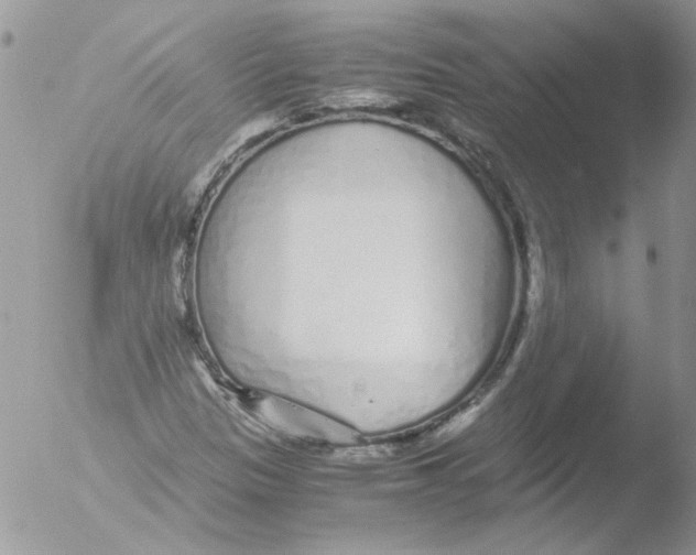 X0000051251305200507152139