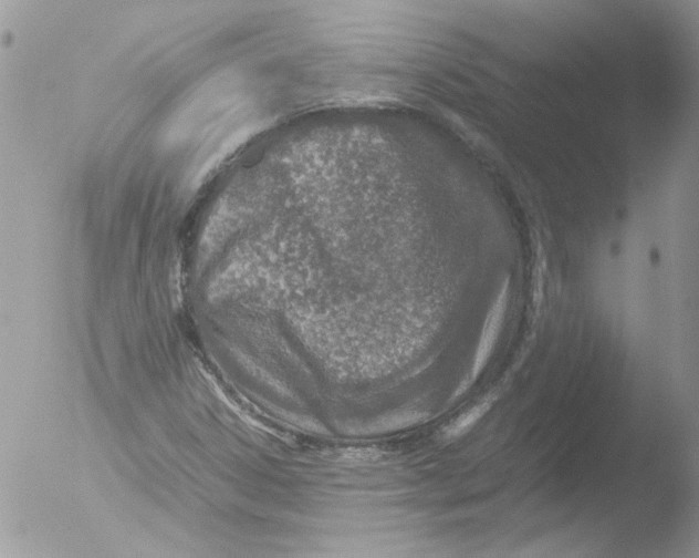 X0000051251306200507152139