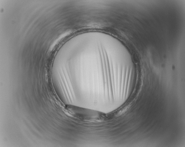 X0000051251307200507152139