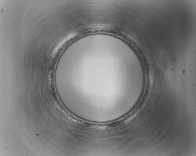 X0000051251309200507152139