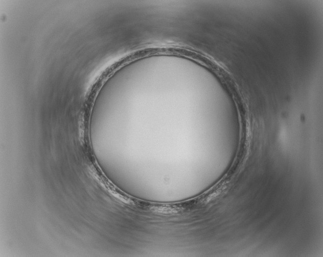 X0000051251311200507152139