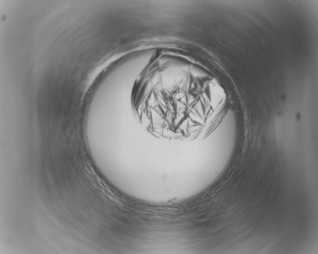 X0000051251312200507152139