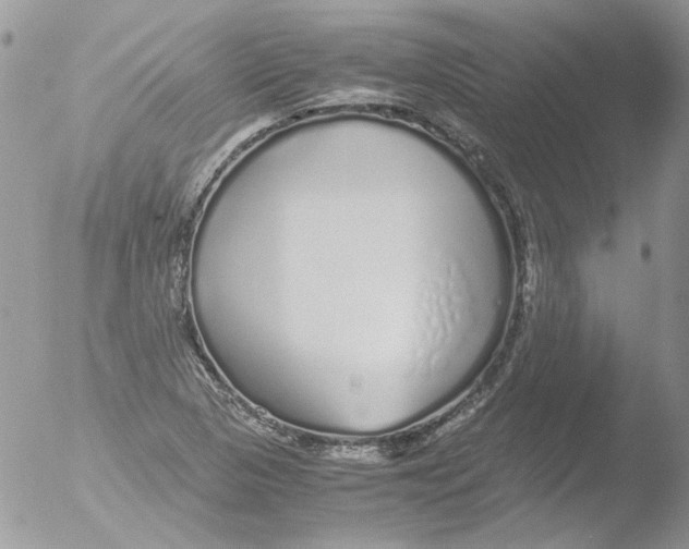 X0000051251313200507152139