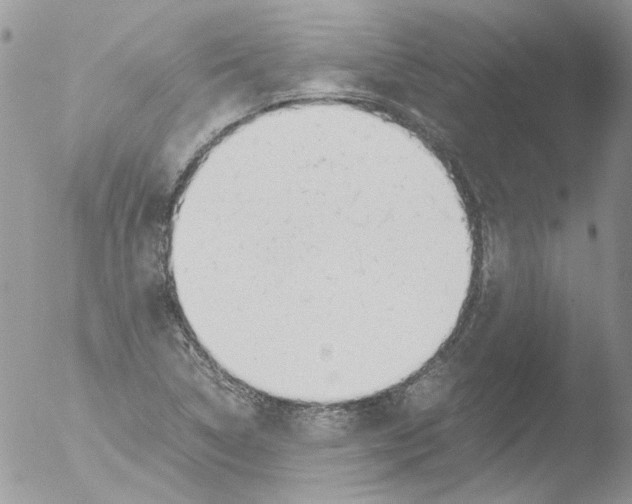 X0000051251314200507152139