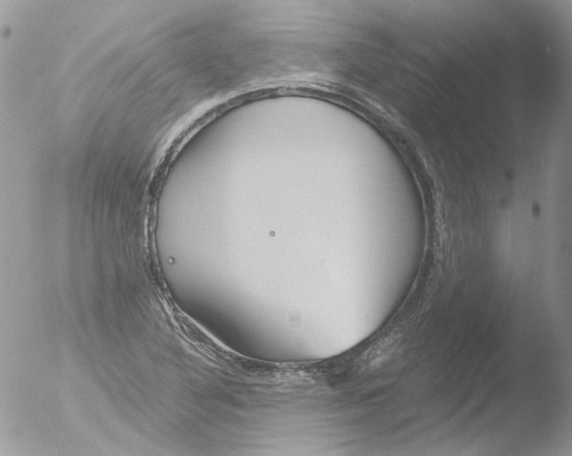 X0000051251316200507152139