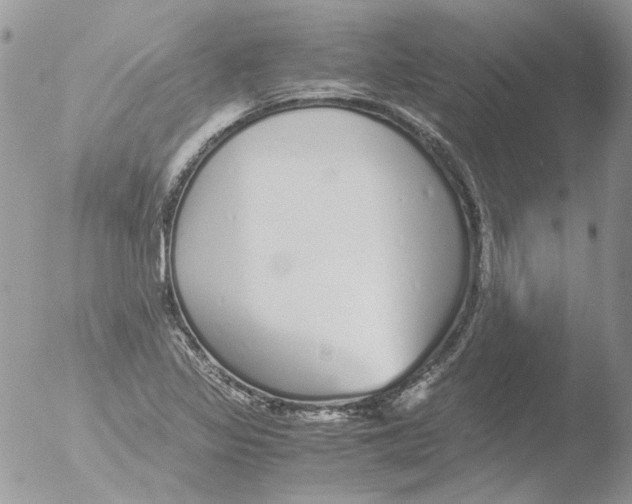 X0000051251317200507152139