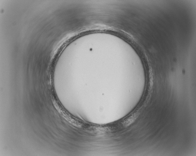 X0000051251318200507152139