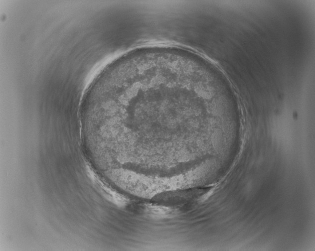 X0000051251319200507152139