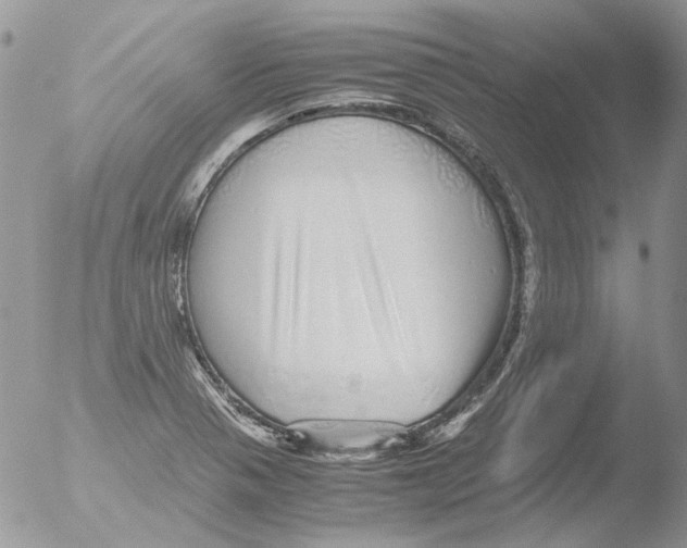 X0000051251321200507152139