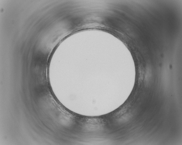 X0000051251322200507152139