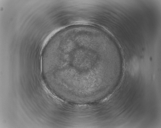 X0000051251323200507152139