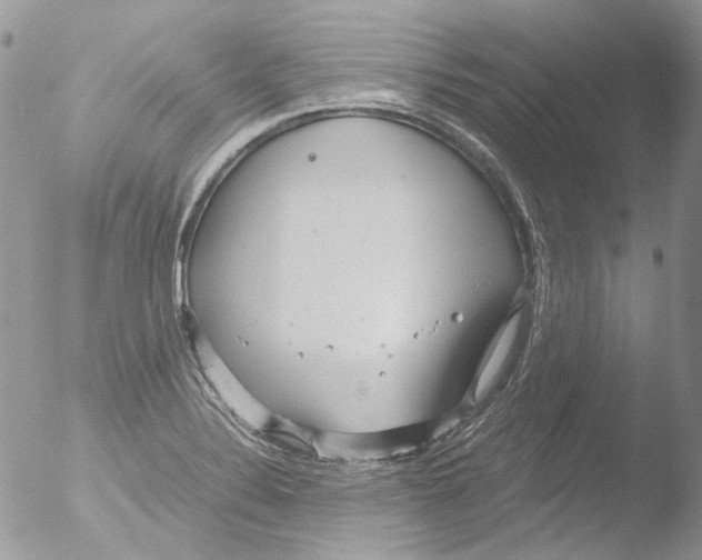 X0000051251324200507152139