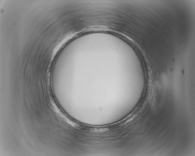 X0000051251325200507152139